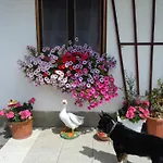 Apartment Areithof *