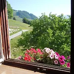 Apartment Areithof Zell am See