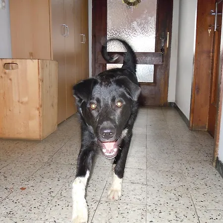 Апартаменти Areithof