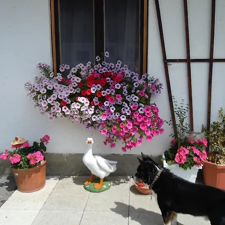 Апартаменти Areithof *