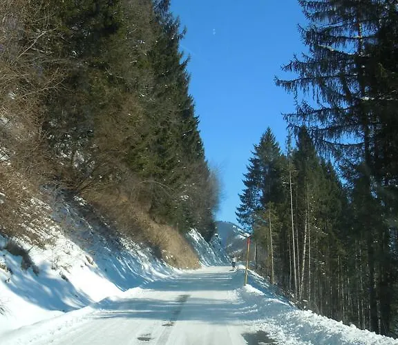 Areithof Apartamento Zell am See