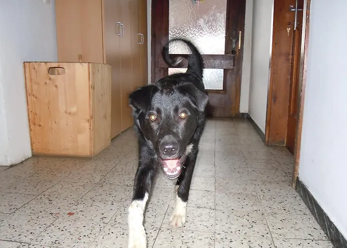 Apartamento Areithof