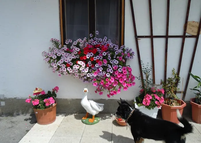 Appartement Areithof *