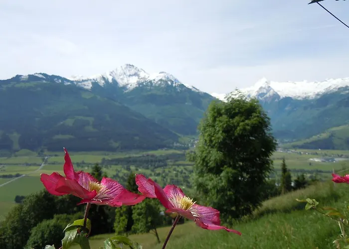 Apartamento Areithof *